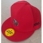 Snapback Lions Red