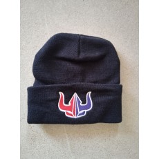 Beanie Vikings