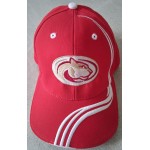 Cap Cougars